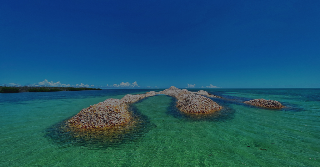 Shore to Shore Sea Scooter Video