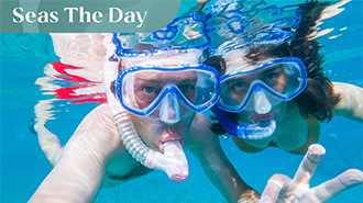 Seas the Day